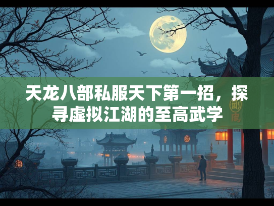 天龙八部私服天下第一招，探寻虚拟江湖的至高武学  第4张