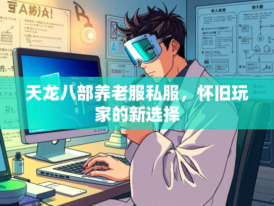 天龙八部养老服私服，怀旧玩家的新选择  第3张