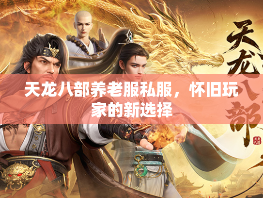 天龙八部养老服私服，怀旧玩家的新选择  第1张