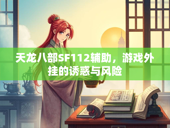 天龙八部SF112辅助，游戏外挂的诱惑与风险  第3张