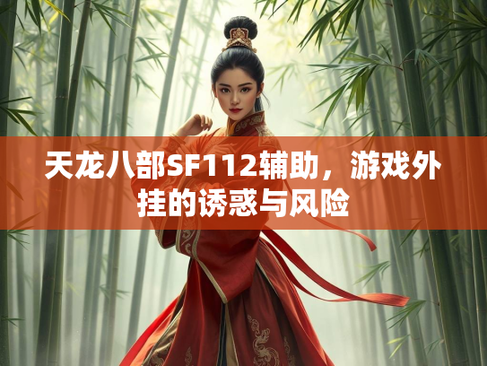 天龙八部SF112辅助，游戏外挂的诱惑与风险  第1张