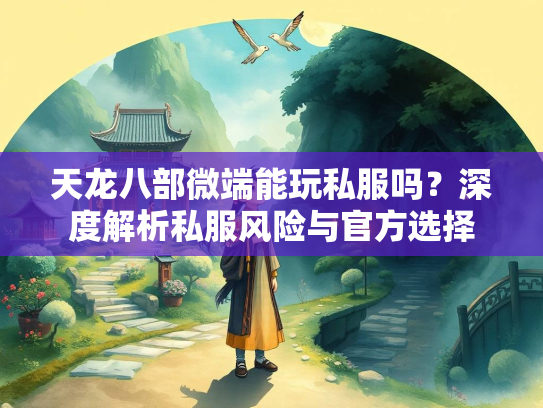 天龙八部微端能玩私服吗？深度解析私服风险与官方选择