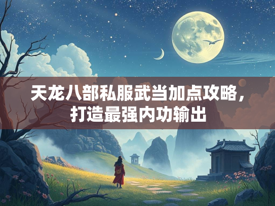 天龙八部私服武当加点攻略，打造最强内功输出  第3张