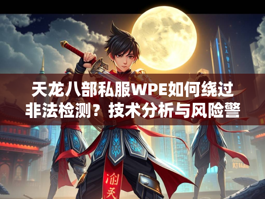 天龙八部私服WPE如何绕过非法检测？技术分析与风险警示  第1张