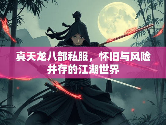 真天龙八部私服，怀旧与风险并存的江湖世界  第1张