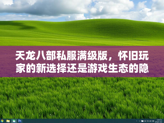 天龙八部私服满级版，怀旧玩家的新选择还是游戏生态的隐患？  第4张
