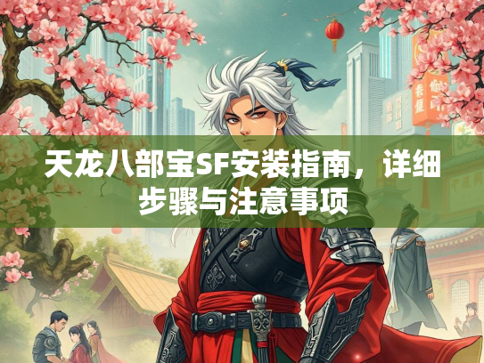 天龙八部宝SF安装指南，详细步骤与注意事项  第5张