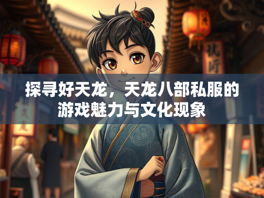 探寻好天龙，天龙八部私服的游戏魅力与文化现象  第3张