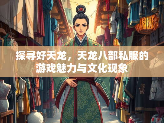 探寻好天龙，天龙八部私服的游戏魅力与文化现象  第4张