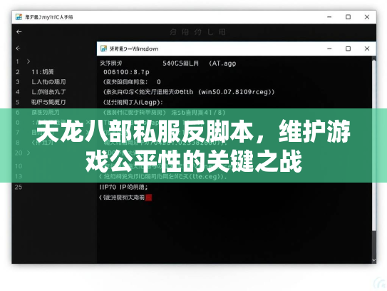 天龙八部私服反脚本，维护游戏公平性的关键之战