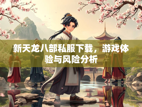 新天龙八部私服下载，游戏体验与风险分析  第1张