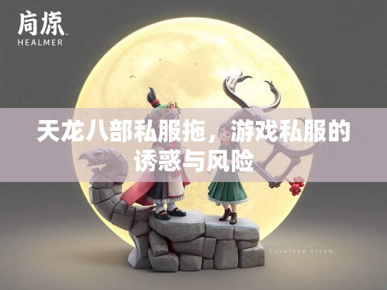 天龙八部私服拖，游戏私服的诱惑与风险  第3张