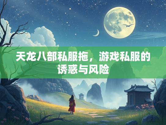 天龙八部私服拖，游戏私服的诱惑与风险  第1张