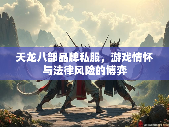 天龙八部品牌私服，游戏情怀与法律风险的博弈  第3张