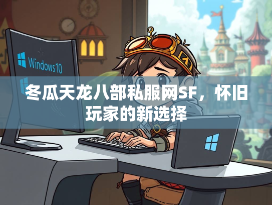 冬瓜天龙八部私服网SF，怀旧玩家的新选择