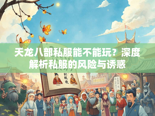 天龙八部私服能不能玩？深度解析私服的风险与诱惑  第2张