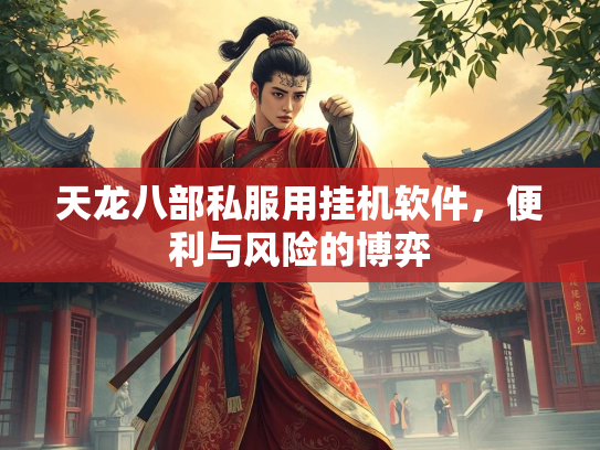 天龙八部私服用挂机软件，便利与风险的博弈