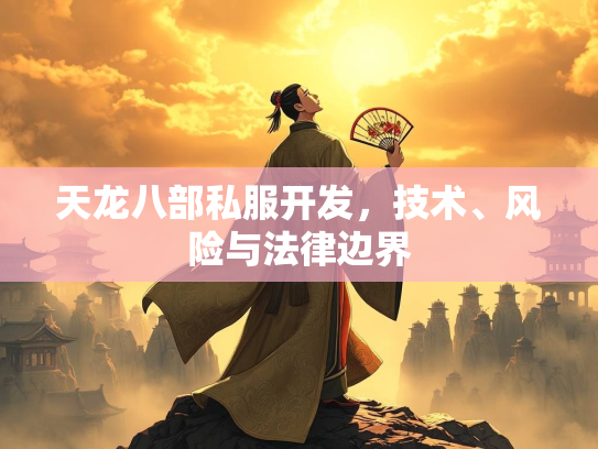 天龙八部私服开发，技术、风险与法律边界
