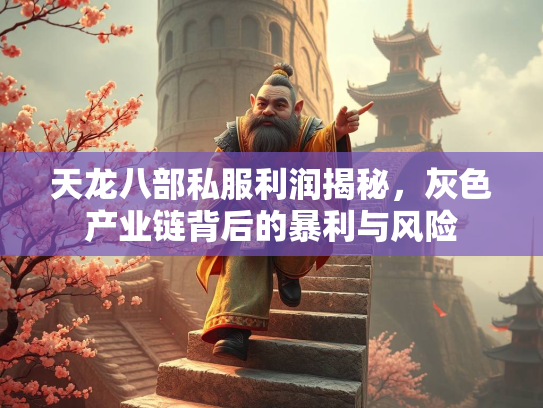 天龙八部私服利润揭秘，灰色产业链背后的暴利与风险  第4张