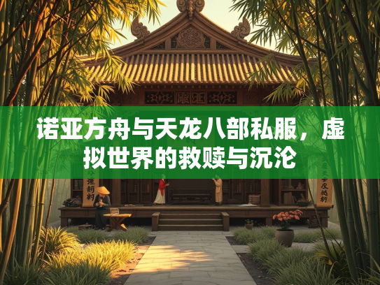诺亚方舟与天龙八部私服，虚拟世界的救赎与沉沦