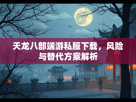 天龙八部端游私服下载，风险与替代方案解析  第2张