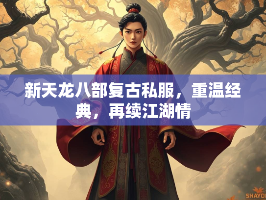 新天龙八部复古私服，重温经典，再续江湖情
