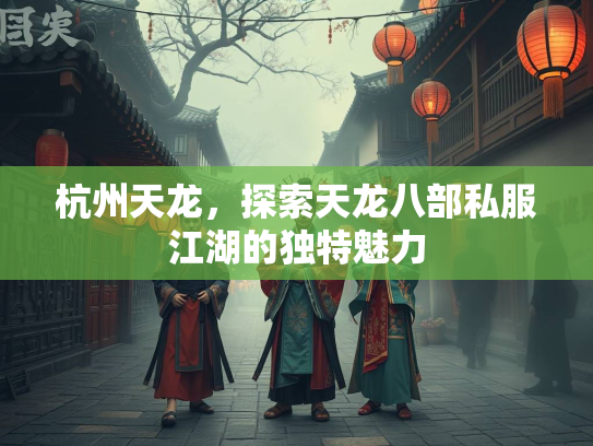 杭州天龙，探索天龙八部私服江湖的独特魅力