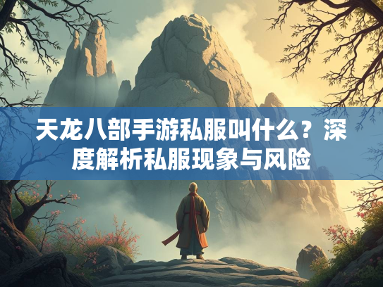 天龙八部手游私服叫什么？深度解析私服现象与风险  第2张