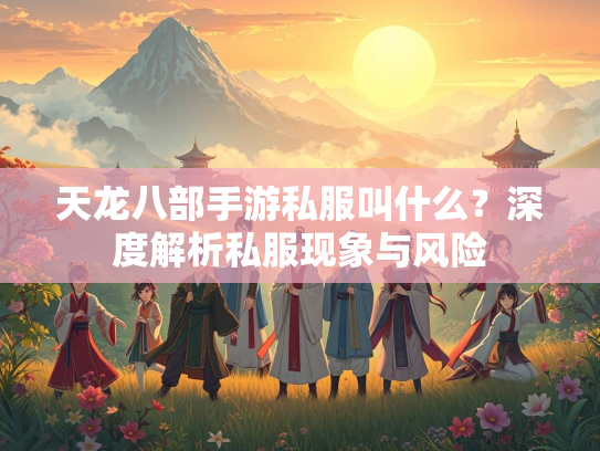 天龙八部手游私服叫什么？深度解析私服现象与风险  第3张