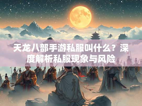 天龙八部手游私服叫什么？深度解析私服现象与风险  第1张