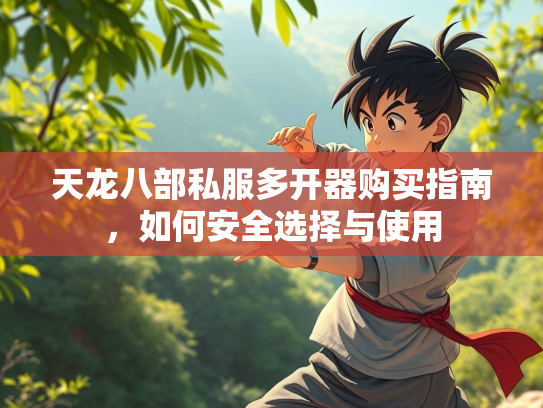 天龙八部私服多开器购买指南，如何安全选择与使用