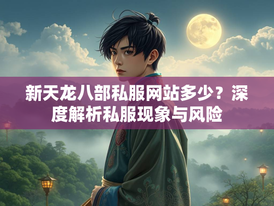 新天龙八部私服网站多少？深度解析私服现象与风险  第2张