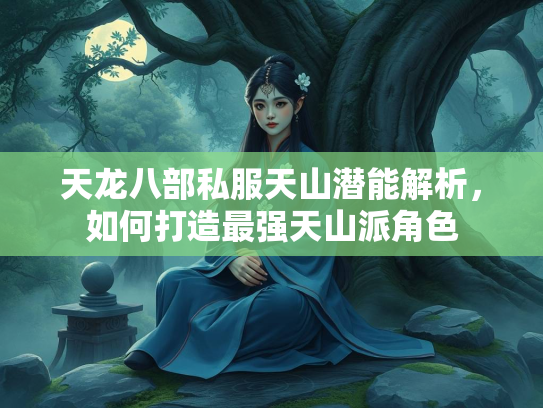 天龙八部私服天山潜能解析，如何打造最强天山派角色  第2张