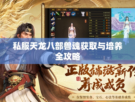 私服天龙八部兽魂获取与培养全攻略