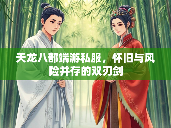 天龙八部端游私服，怀旧与风险并存的双刃剑  第2张