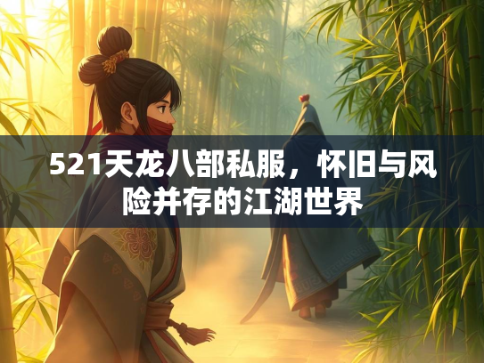 521天龙八部私服，怀旧与风险并存的江湖世界  第2张