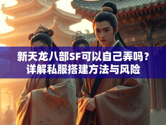 新天龙八部SF可以自己弄吗？详解私服搭建方法与风险  第3张