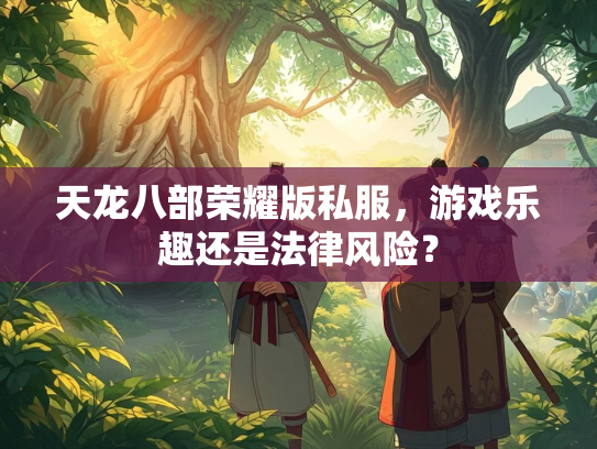天龙八部荣耀版私服，游戏乐趣还是法律风险？  第2张