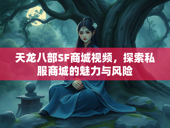 天龙八部SF商城视频，探索私服商城的魅力与风险  第2张
