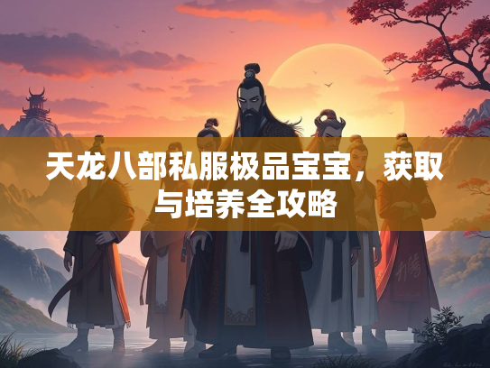 天龙八部私服极品宝宝，获取与培养全攻略