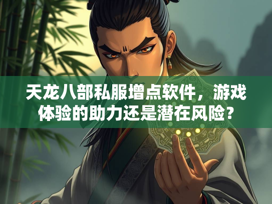 天龙八部私服增点软件，游戏体验的助力还是潜在风险？
