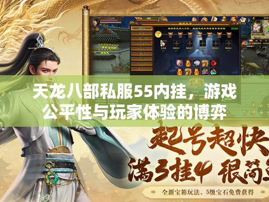 天龙八部私服55内挂，游戏公平性与玩家体验的博弈