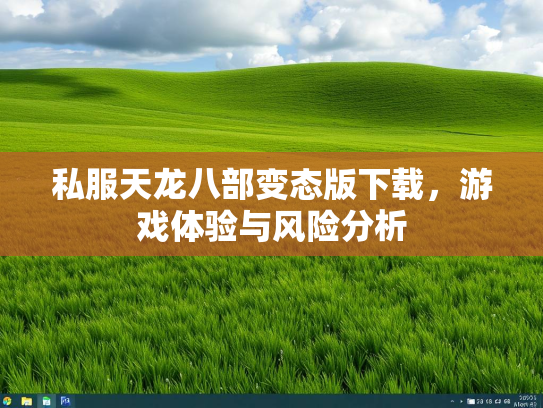 私服天龙八部变态版下载，游戏体验与风险分析