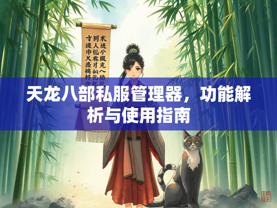 天龙八部私服管理器，功能解析与使用指南