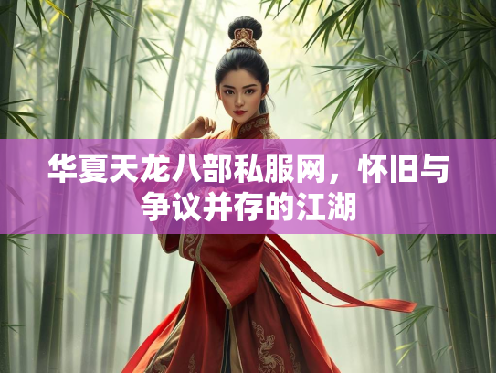 华夏天龙八部私服网，怀旧与争议并存的江湖  第3张