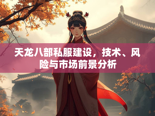 天龙八部私服建设，技术、风险与市场前景分析