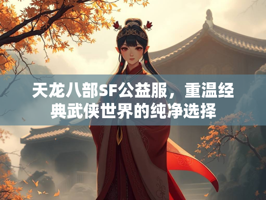 天龙八部SF公益服，重温经典武侠世界的纯净选择