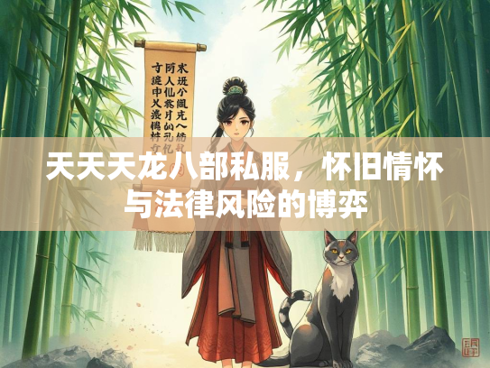 天天天龙八部私服，怀旧情怀与法律风险的博弈  第3张