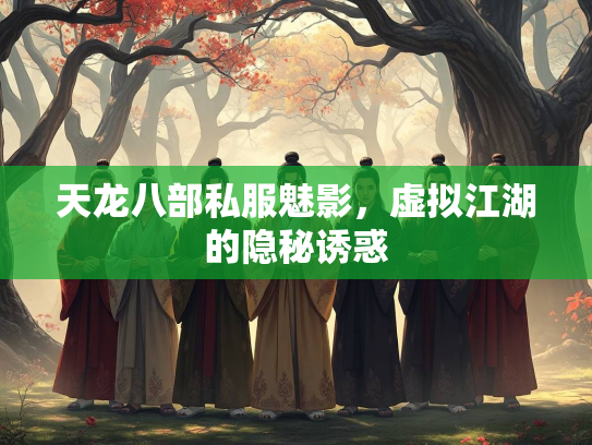 天龙八部私服魅影，虚拟江湖的隐秘诱惑