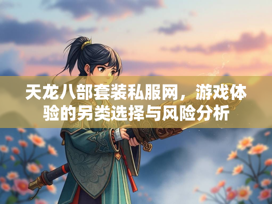 天龙八部套装私服网，游戏体验的另类选择与风险分析